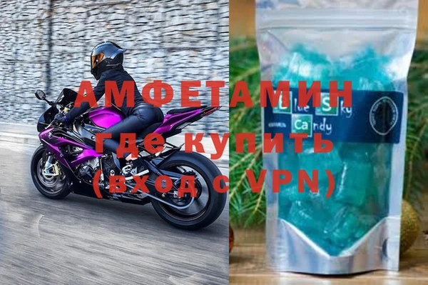 индика Белокуриха