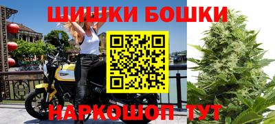 сатива Лесосибирск