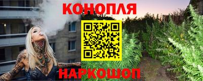 сатива Лесосибирск